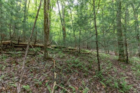 Lot 17 Lower Gap Road Sautee Nacoochee GA 30571