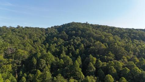 00 Big Creek Ellijay GA 30536