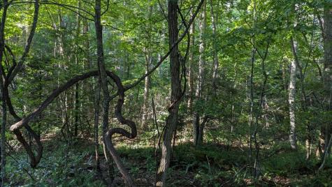 00 Big Creek Ellijay GA 30536