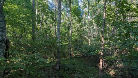 00 Big Creek Ellijay GA 30536