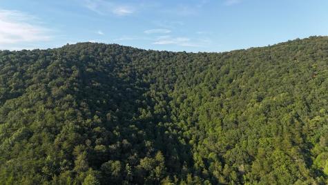 00 Big Creek Ellijay GA 30536