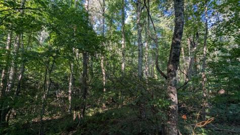 00 Big Creek Ellijay GA 30536