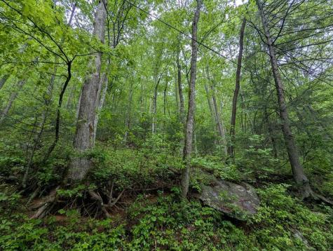 00 Big Creek Ellijay GA 30536