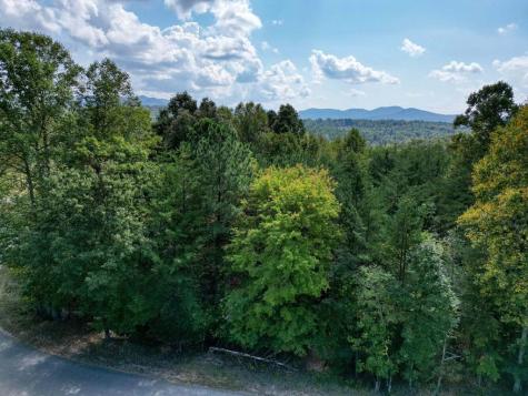 Tract 2 Barnes Creek Road Blairsville GA 30512