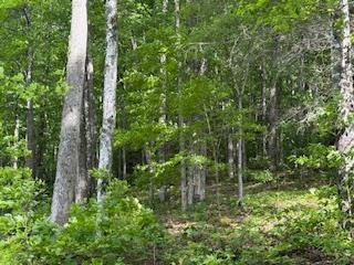 43 Tusquittee Crossing Hayesville NC 28904