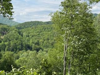 43 Tusquittee Crossing Hayesville NC 28904