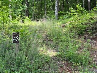43 Tusquittee Crossing Hayesville NC 28904