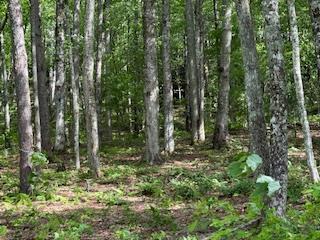 43 Tusquittee Crossing Hayesville NC 28904