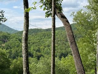 43 Tusquittee Crossing Hayesville NC 28904