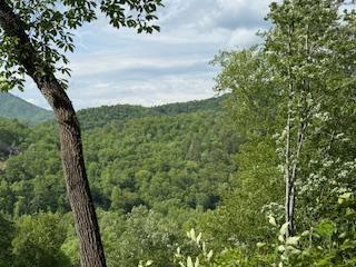 43 Tusquittee Crossing Hayesville NC 28904