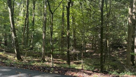 00 River Ridge Road Blue Ridge GA 30513