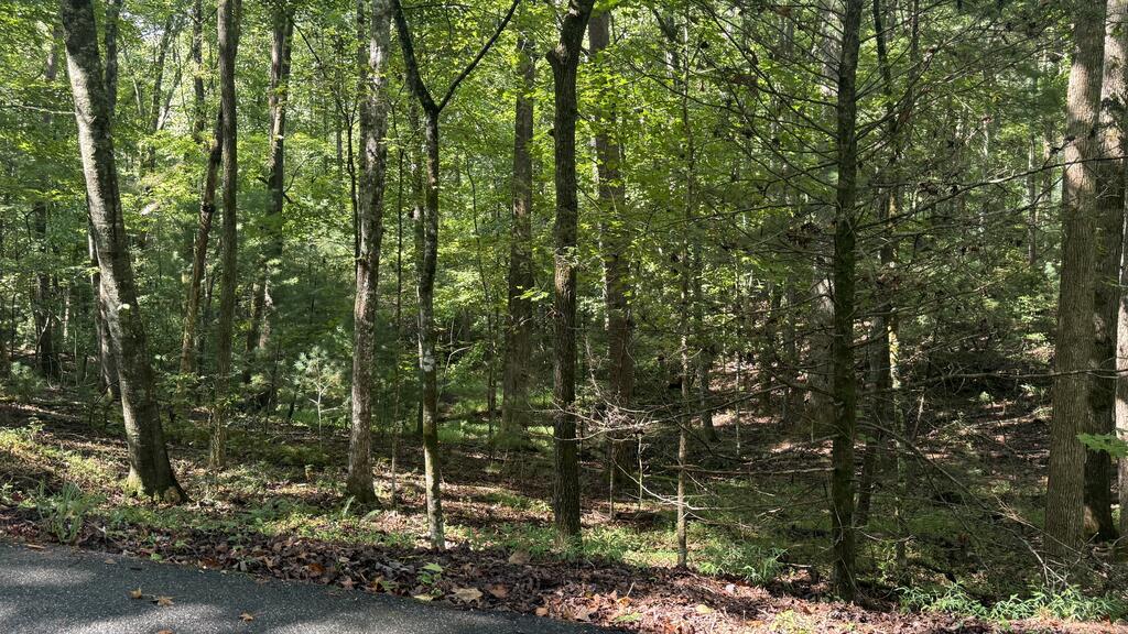00 River Ridge Road Blue Ridge GA 30513