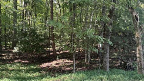 00 River Ridge Road Blue Ridge GA 30513