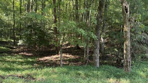 00 River Ridge Road Blue Ridge GA 30513