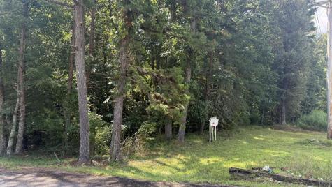 00 River Ridge Road Blue Ridge GA 30513