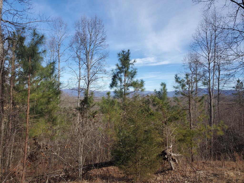Lot 25 Meadow Brooke Young Harris GA 30582