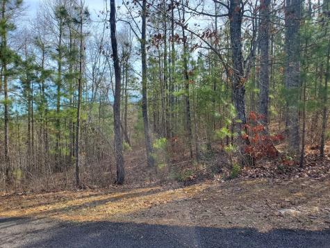 Lot 25 Meadow Brooke Young Harris GA 30582