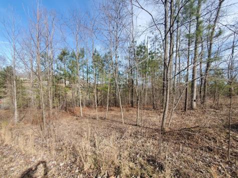 Lot 25 Meadow Brooke Young Harris GA 30582