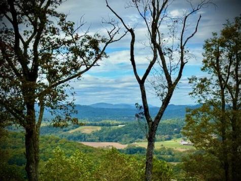 Lot 35 Grand Laurel Brasstown NC 28902