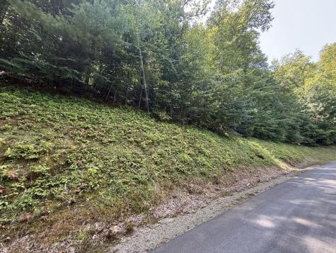 Lot 35 Grand Laurel Brasstown NC 28902