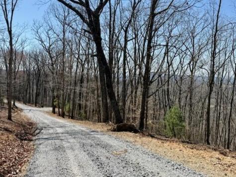 Lot 35 Grand Laurel Brasstown NC 28902