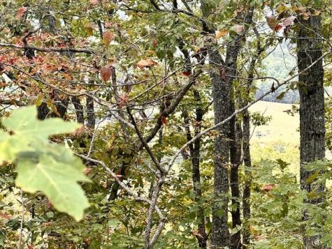 Lot 35 Grand Laurel Brasstown NC 28902