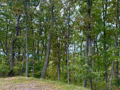 Lot 35 Grand Laurel Brasstown NC 28902