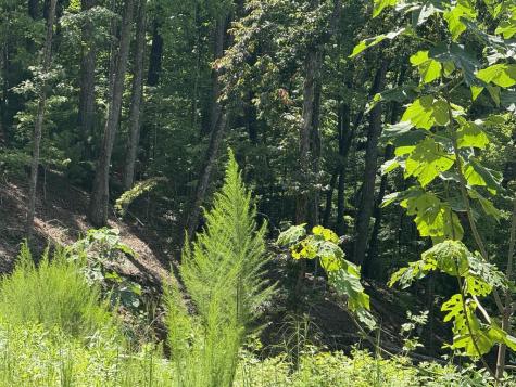 Lot 35 Grand Laurel Brasstown NC 28902
