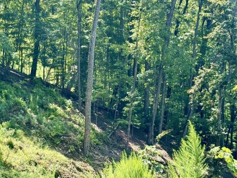 Lot 35 Grand Laurel Brasstown NC 28902