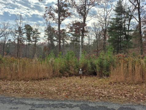 00 High River Crossing Ellijay GA 30540