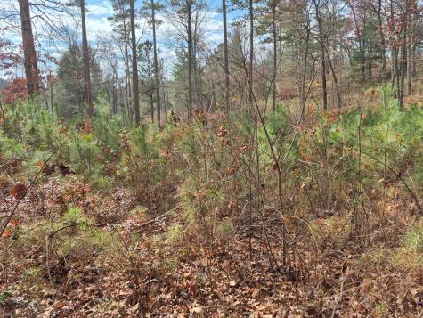 00 High River Crossing Ellijay GA 30540