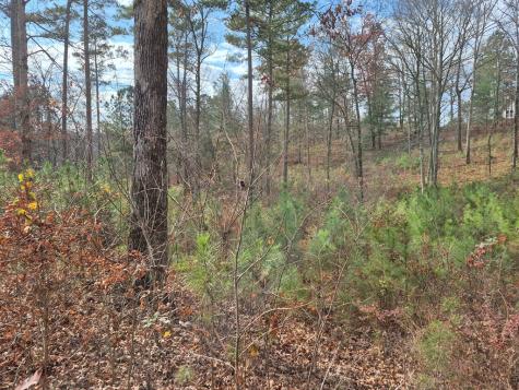 00 High River Crossing Ellijay GA 30540