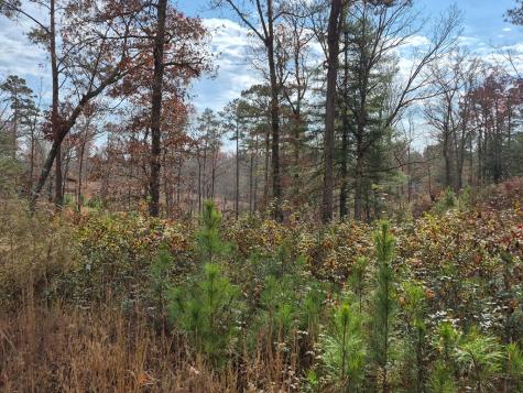 00 High River Crossing Ellijay GA 30540