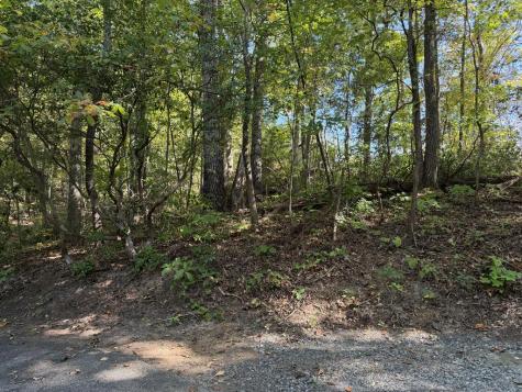 2.528 Ac Amethyst Lane Hiawassee GA 30546