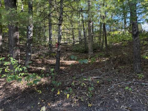2.528 Ac Amethyst Lane Hiawassee GA 30546
