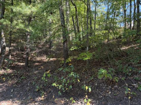 2.528 Ac Amethyst Lane Hiawassee GA 30546