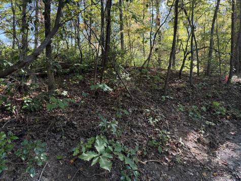 2.528 Ac Amethyst Lane Hiawassee GA 30546