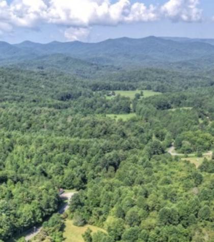 TRACK19A Highway 2 Blue Ridge GA 30513