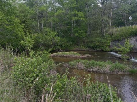 TRACK19A Highway 2 Blue Ridge GA 30513