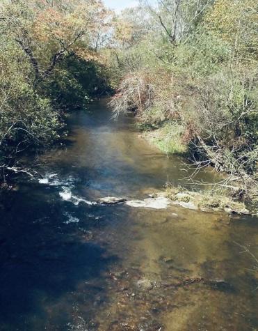 TRACK19A Highway 2 Blue Ridge GA 30513