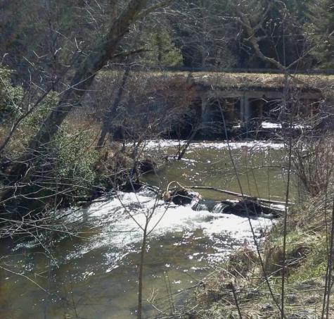 TRACK19A Highway 2 Blue Ridge GA 30513