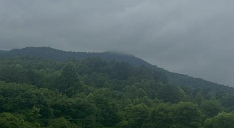 TRACK19A Highway 2 Blue Ridge GA 30513