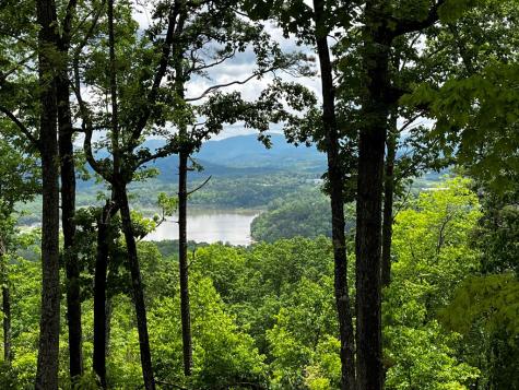 Lot 103 Highland Park Iii Blairsville GA 30512