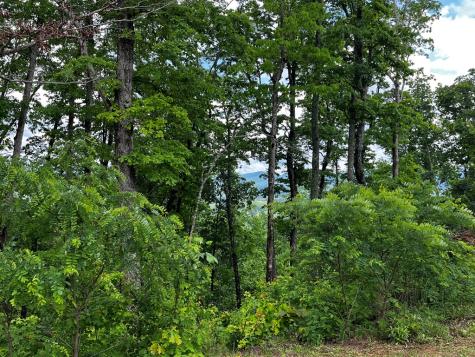 Lot 103 Highland Park Iii Blairsville GA 30512