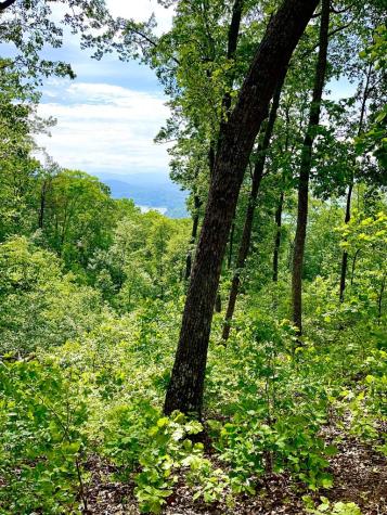 Lot 103 Highland Park Iii Blairsville GA 30512