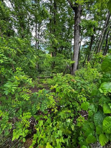 Lot 103 Highland Park Iii Blairsville GA 30512