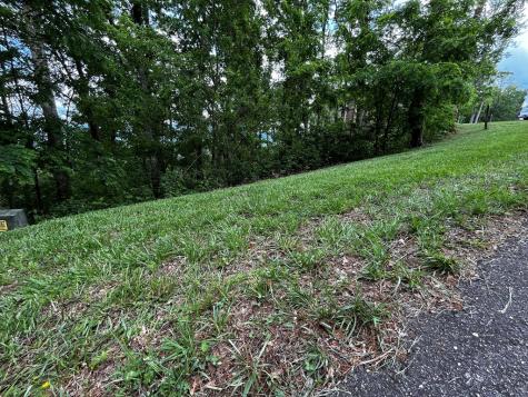 Lot 103 Highland Park Iii Blairsville GA 30512