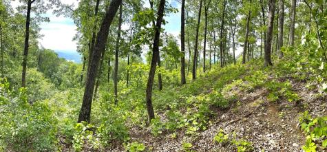 Lot 103 Highland Park Iii Blairsville GA 30512