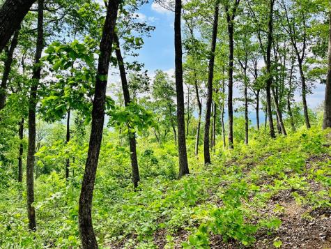 Lot 103 Highland Park Iii Blairsville GA 30512