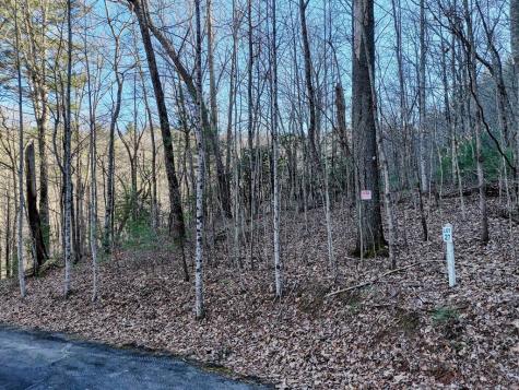Lot 27 Highland Falls Blairsville GA 30512